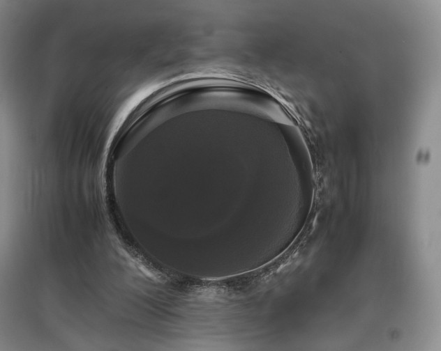 X0000097480200200802221359