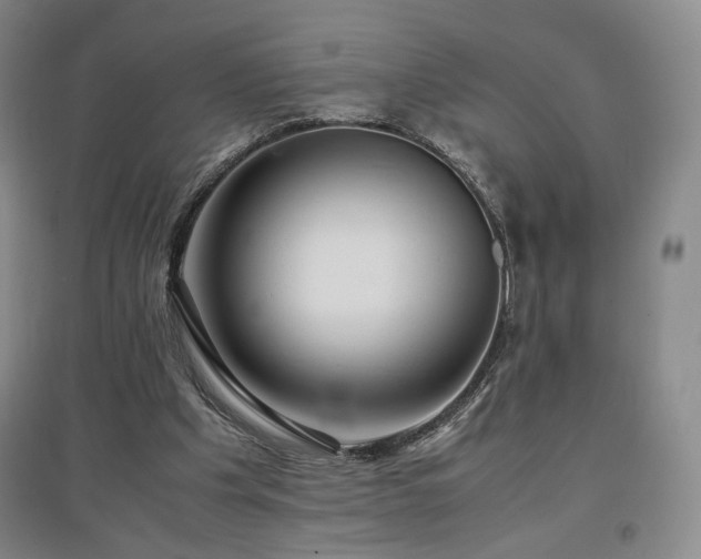 X0000097480201200802221359