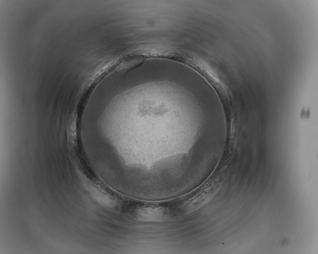 X0000097480202200802221359