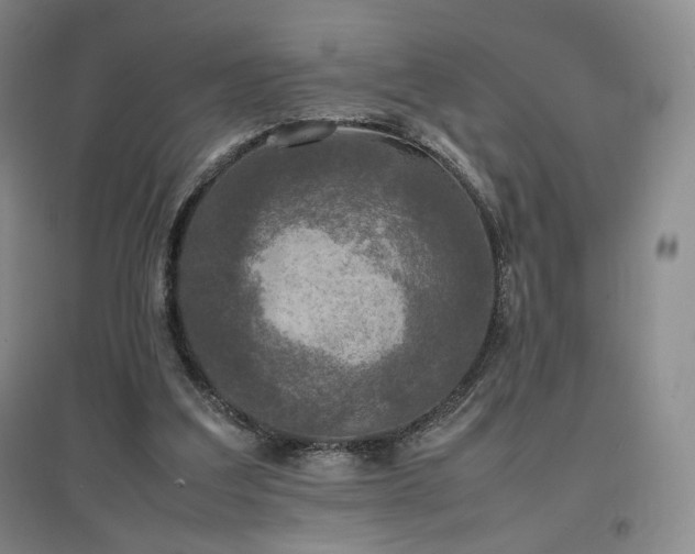 X0000097480203200802221359