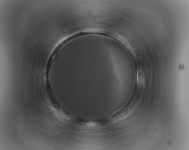X0000097480204200802221359