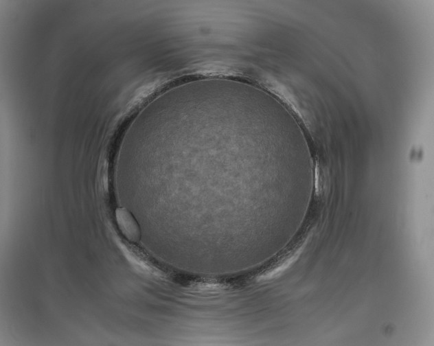 X0000097480205200802221359