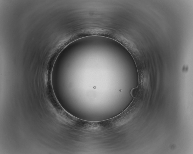X0000097480206200802221359