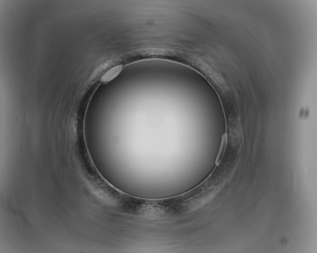 X0000097480207200802221359