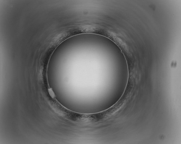 X0000097480209200802221359