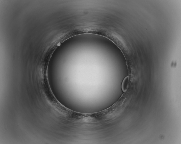 X0000097480210200802221359