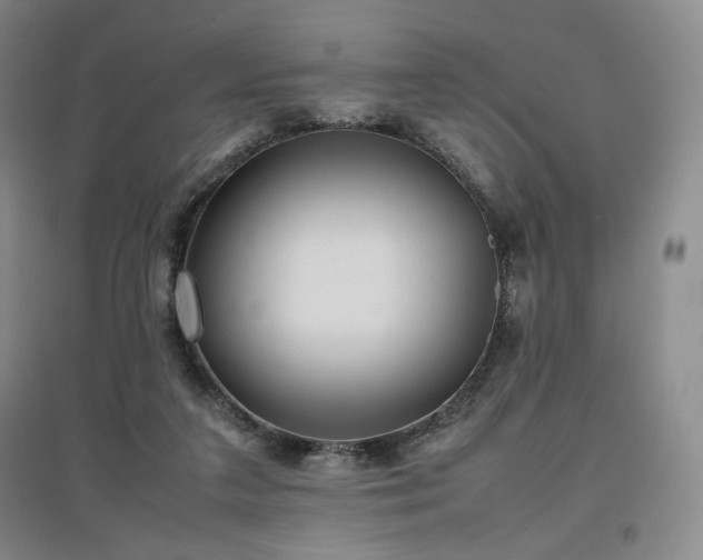 X0000097480211200802221359