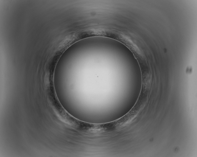 X0000097480213200802221359