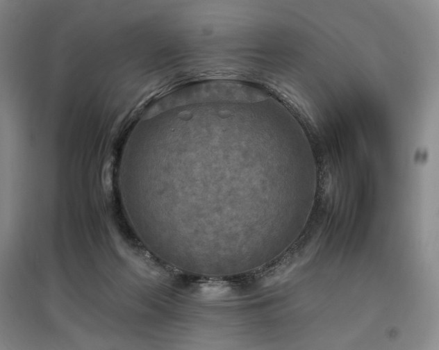 X0000097480214200802221359