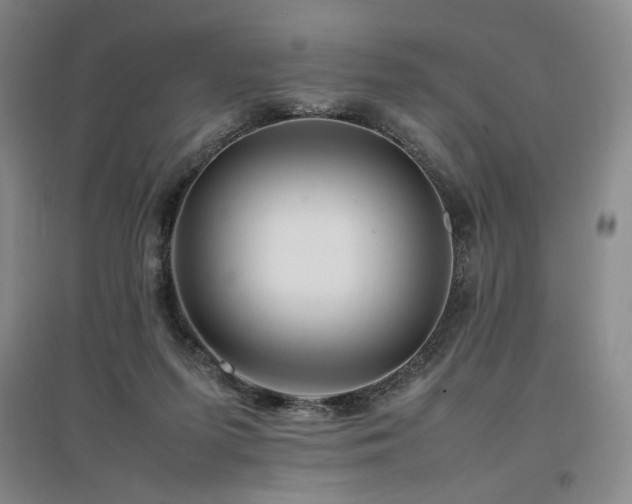 X0000097480215200802221359