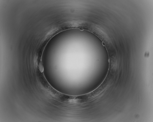 X0000097480216200802221359