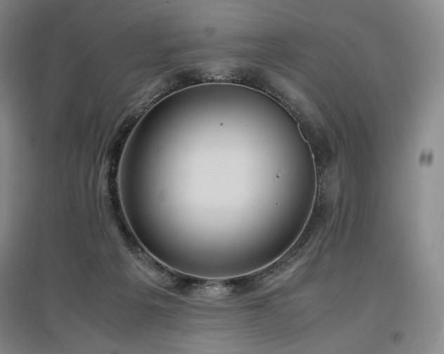 X0000097480217200802221359