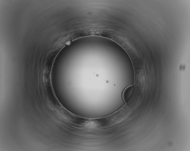 X0000097480218200802221359