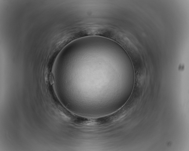 X0000097480219200802221359