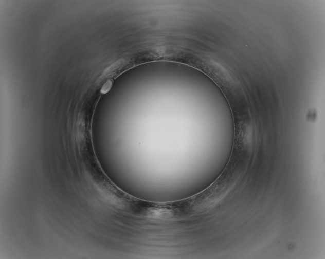 X0000097480220200802221359