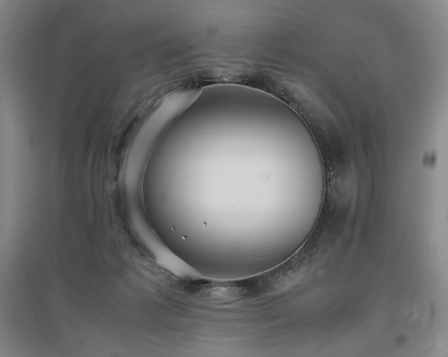 X0000097480221200802221359