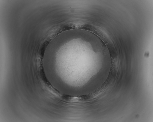 X0000097480222200802221359