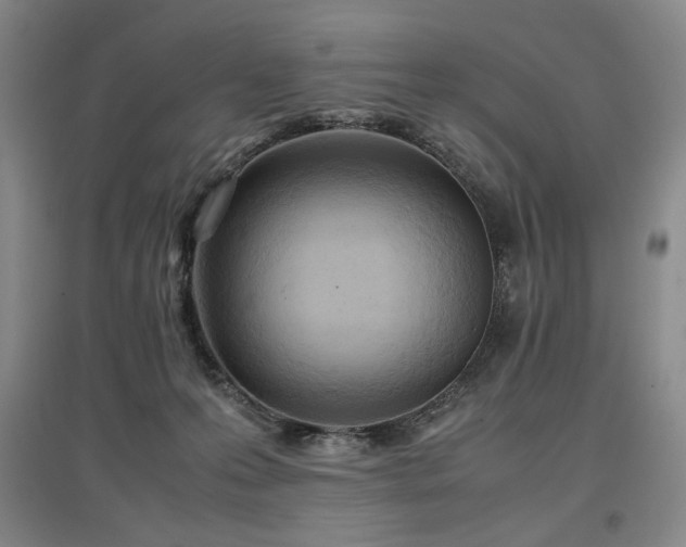 X0000097480223200802221359