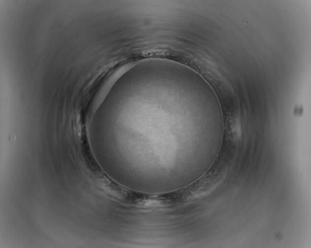 X0000097480224200802221359