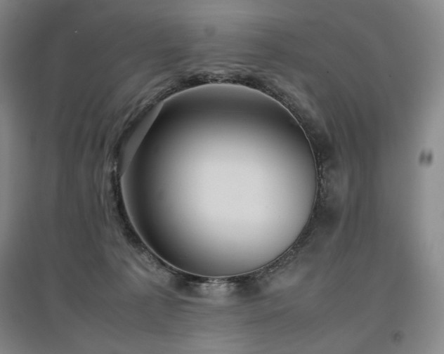 X0000097480225200802221359