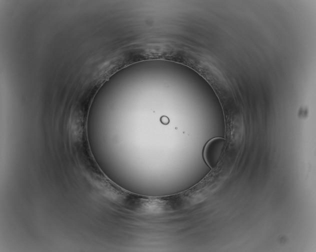X0000097480226200802221359