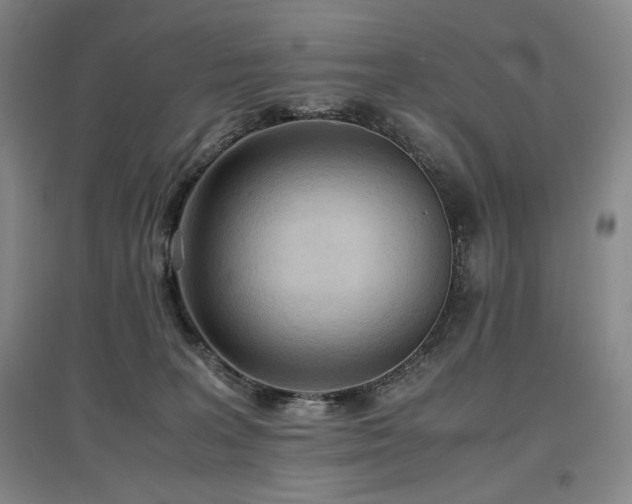 X0000097480227200802221359