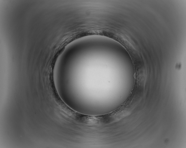 X0000097480229200802221359