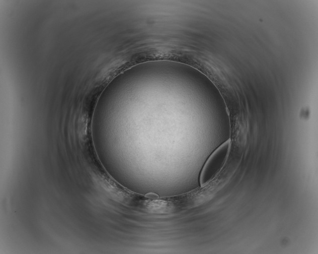 X0000097480230200802221359
