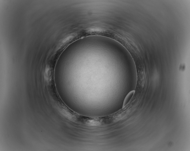 X0000097480232200802221359