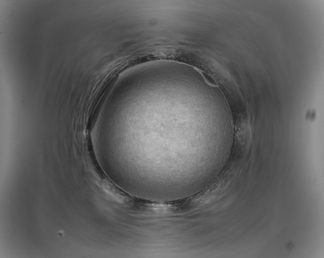 X0000097480233200802221359