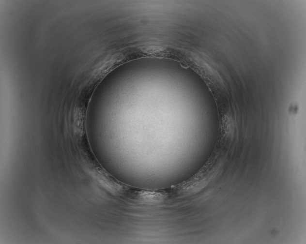 X0000097480234200802221359