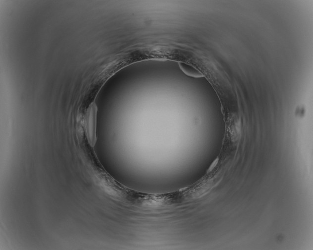 X0000097480235200802221359