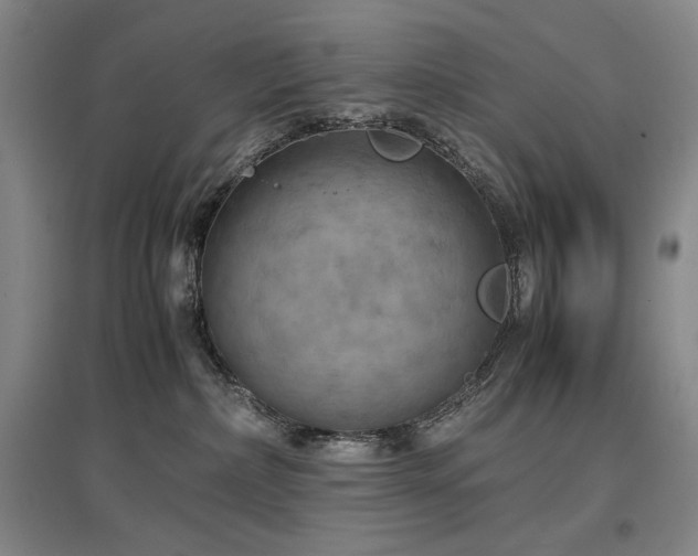 X0000097480236200802221359