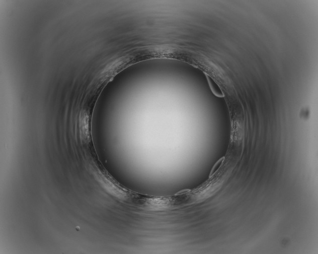 X0000097480238200802221359