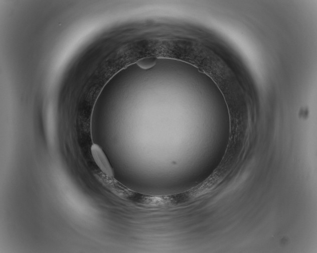 X0000097480239200802221359