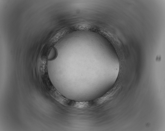 X0000097480240200802221359