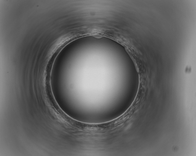 X0000097480242200802221358