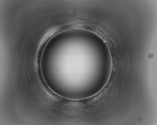 X0000097480245200802221358
