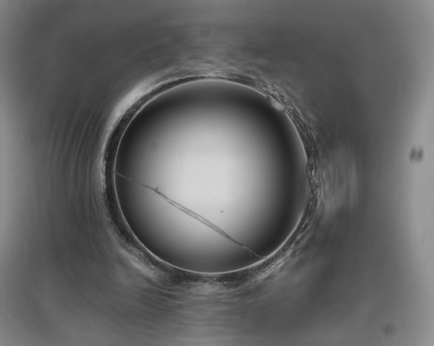 X0000097480246200802221358