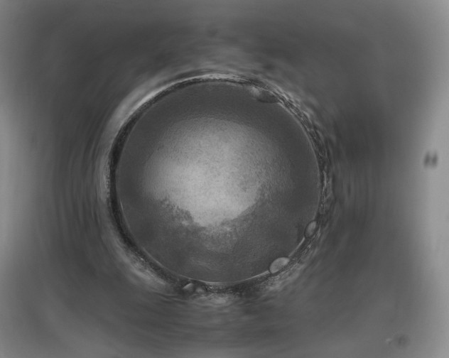 X0000097480247200802221358