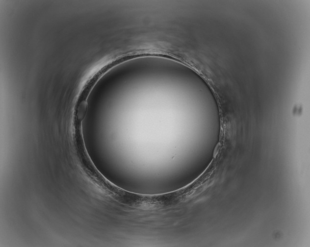 X0000097480248200802221358