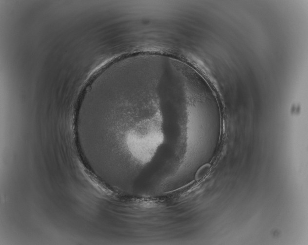 X0000097480249200802221358
