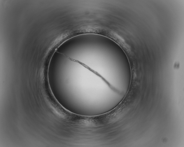 X0000097480250200802221358