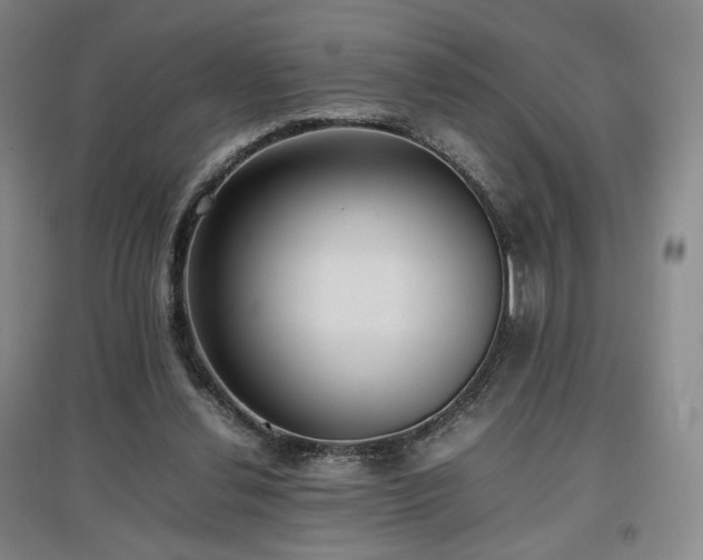 X0000097480252200802221358