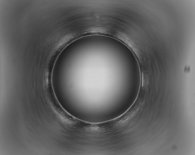 X0000097480253200802221358