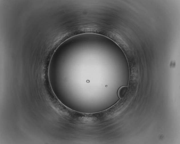 X0000097480255200802221358