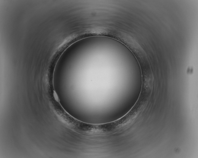 X0000097480256200802221358