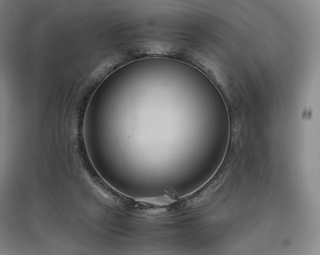 X0000097480257200802221358