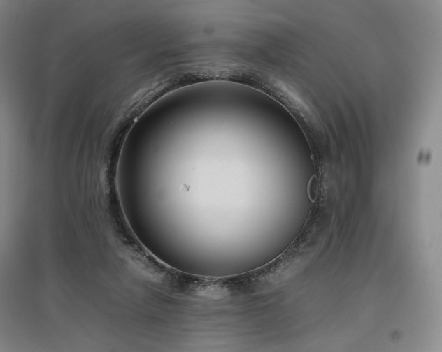 X0000097480258200802221359