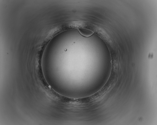 X0000097480259200802221359